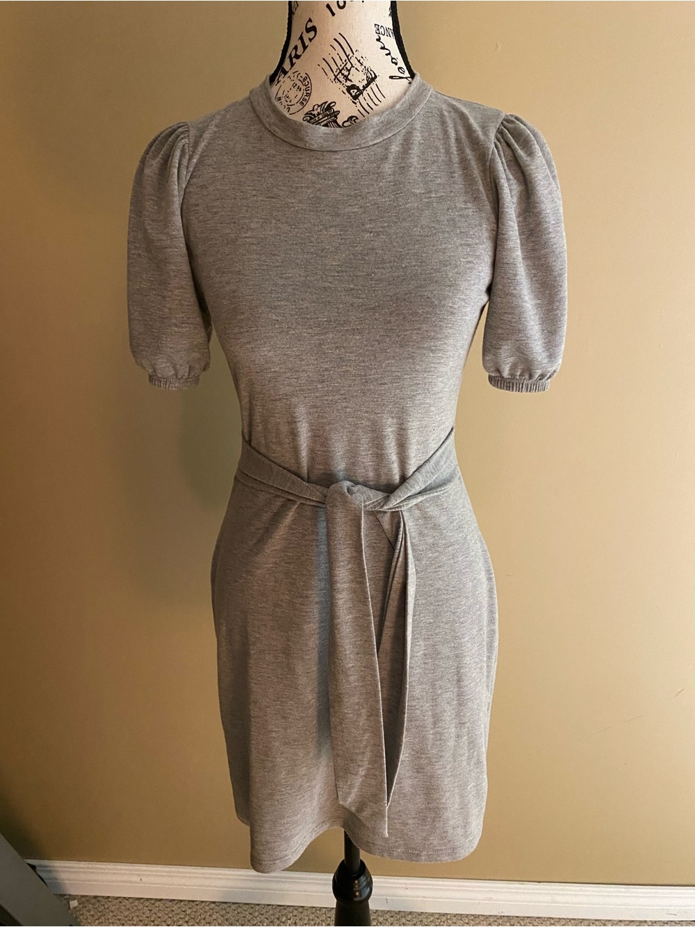 Poison Ivy Gray Puff Sleeve Tie-Waist Mini Dress
